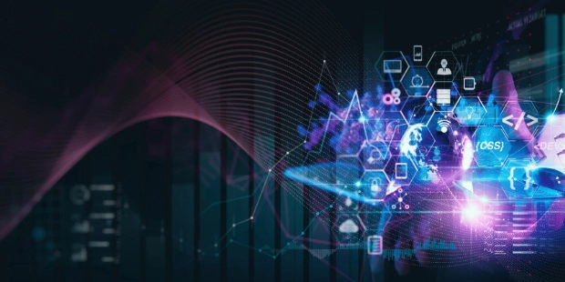 Software deelopment Consultancy